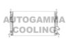 AUTOGAMMA 103424 Radiator, engine cooling